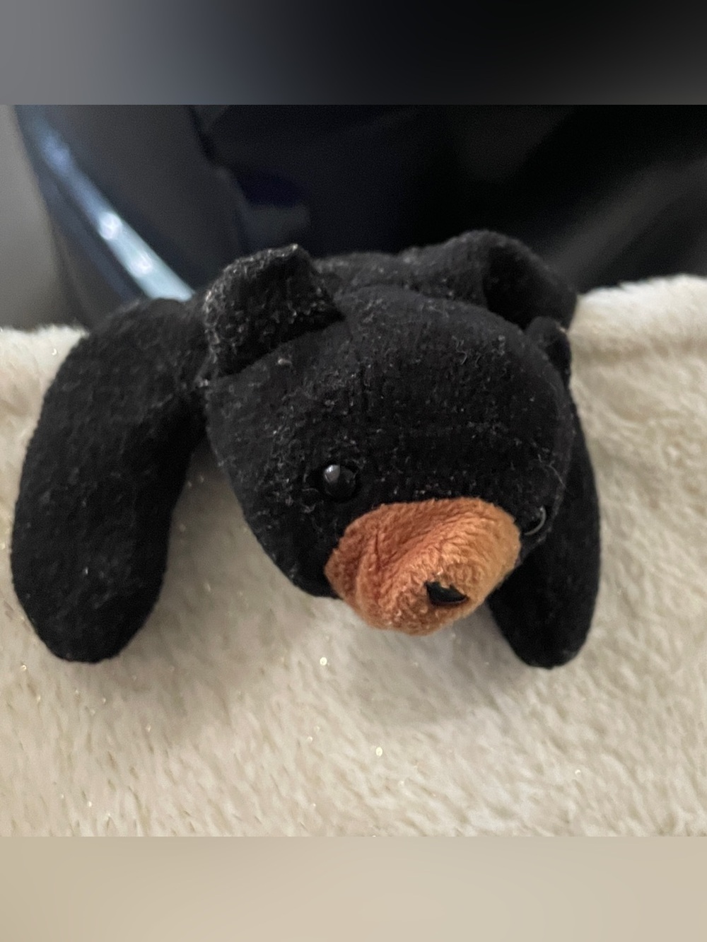 Ty Black Bear Plush with Brown Snout